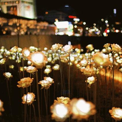 曲江文旅1600万股拟被拍卖：手握爆火流量为何三年亏损5.7亿？
